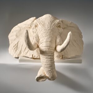 Tête d’éléphant